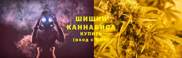 крисы Богородск