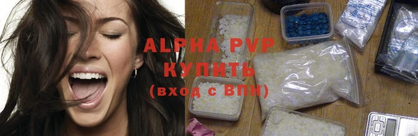 ECSTASY Богданович