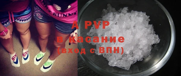 ECSTASY Богданович