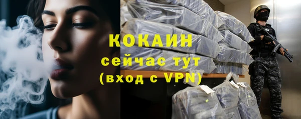 крисы Богородск