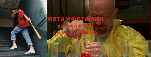 ECSTASY Богданович