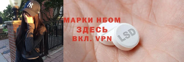 ECSTASY Богданович