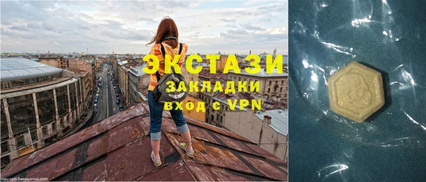 ECSTASY Богданович