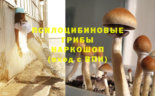 ECSTASY Богданович