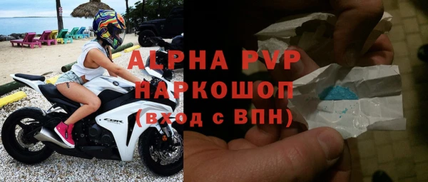 ECSTASY Богданович