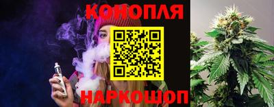 гидра Бийск