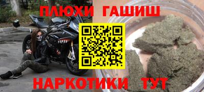 гидра Бийск