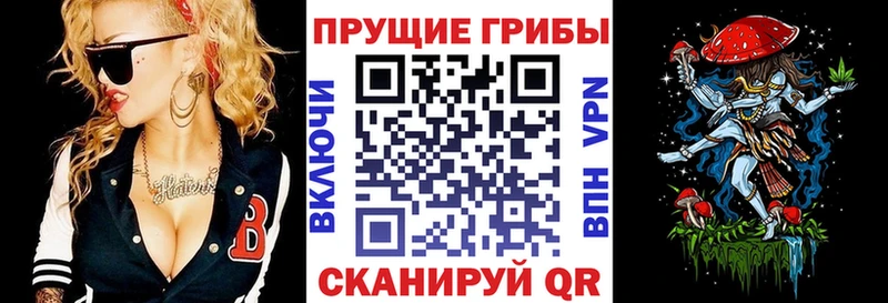 kraken   Вязьма  Галлюциногенные грибы Magic Shrooms 