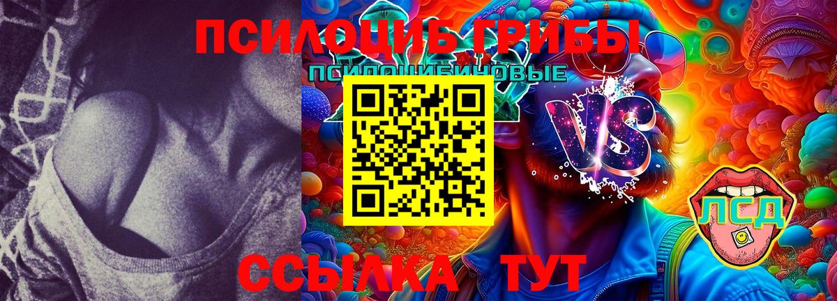 Псилоцибиновые грибы Cubensis  Вход с VPN  Вязьма  Галлюциногенные грибы Psilocybine cubensis 