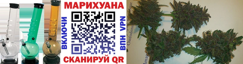 купить наркотик  hydra онион  Шишки марихуана Ganja  Вязьма 